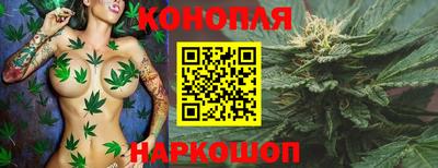 шишки Краснознаменск