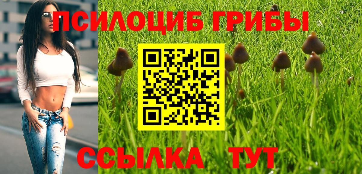 Жигулёвск  Псилоцибиновые грибы Magic Shrooms  Вход с VPN 