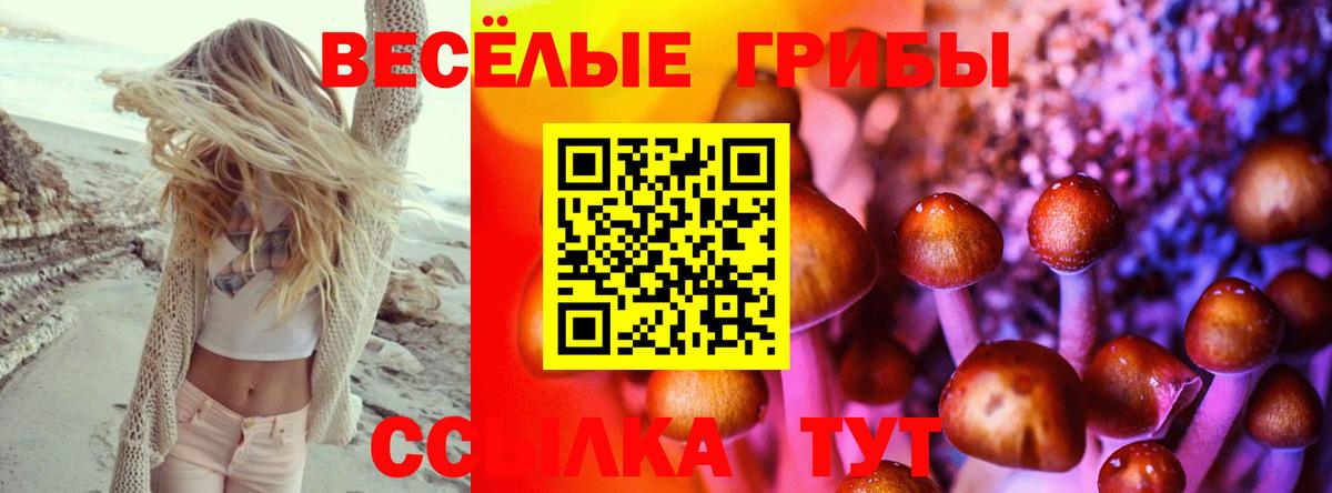 Псилоцибиновые грибы Cubensis Жигулёвск